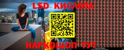 шишки Лесосибирск