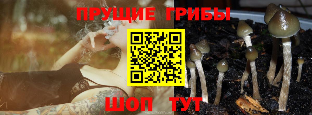 Галлюциногенные грибы GOLDEN TEACHER  Вход с VPN  Чебоксары 
